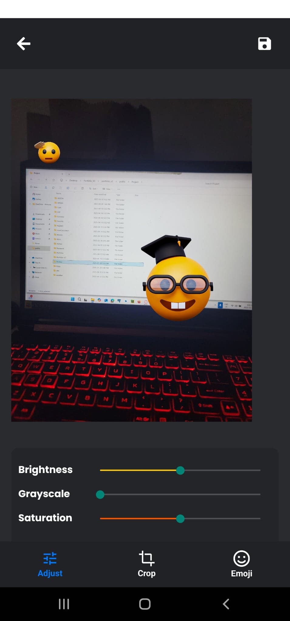 Proteus Image Editor screen 2